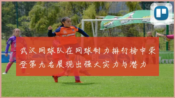 武汉网球队在网球耐力排行榜中荣登第九名展现出强大实力与潜力